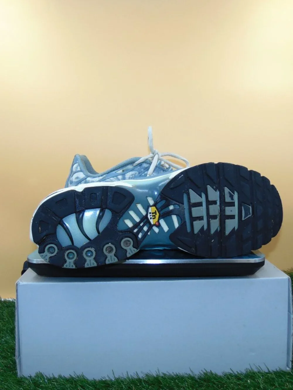 Size 12 - Nike Air Max Plus Palm Pack - Waterway